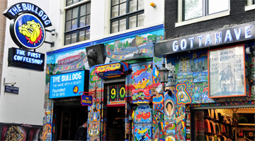 Coffeeshop Bulldog in Amsterdam