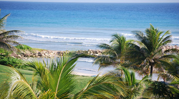Tropical paradise Jamaica