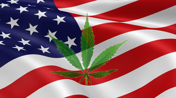 Cannabis event in USA