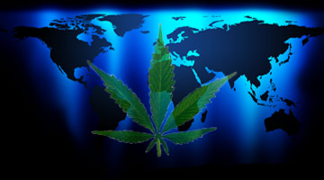 Cannabis event overseas
